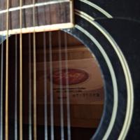 chitarra acustica stagg 12 corde +custodia rigida