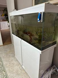 Acquario 120 cm lungo