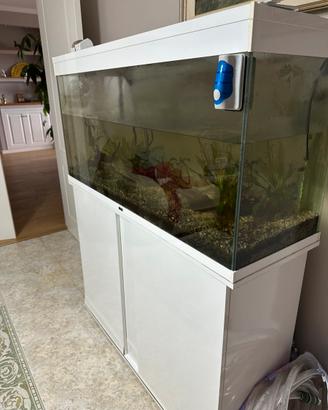 Acquario 120 cm lungo