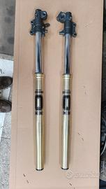 Forcelle con cartuccia Ohlins per Yamaha Tenere 