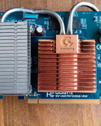 Scheda Grafica Gigabyte