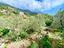 Immagine 25