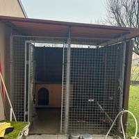 Box per cani 200x200