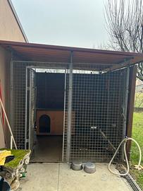 Box per cani 200x200