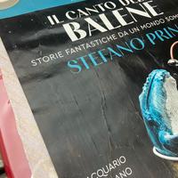 Poster Acquario di Milano il suono delle balene