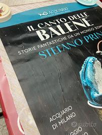 Poster Acquario di Milano il suono delle balene