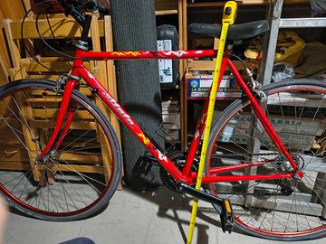 bicicletta 