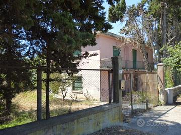 Villa immersa nel verde