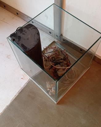 acquario 