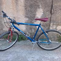 mountain bike Nuzzi