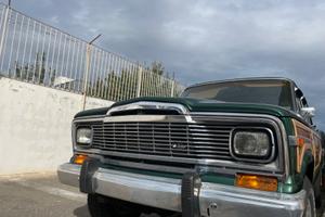 JEEP Wagoneer 5.9L V8 - 1979