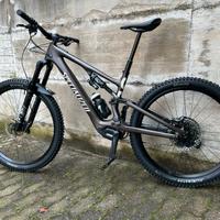 Specialized e-mtb