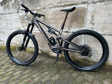 Specialized e-mtb