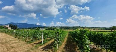 TER. AGRICOLO A CAPRINO VERONESE