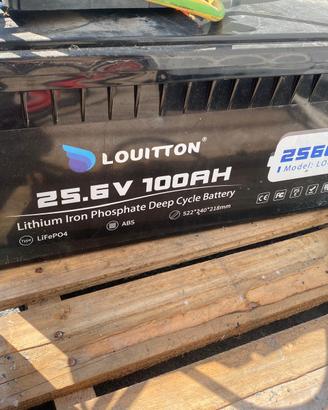 Batteria fotovoltaico LiFePO4 25,6V 100Ah BMS