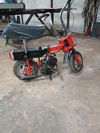 Mini ciclomotore  50 cc da città