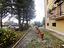 Immagine 23