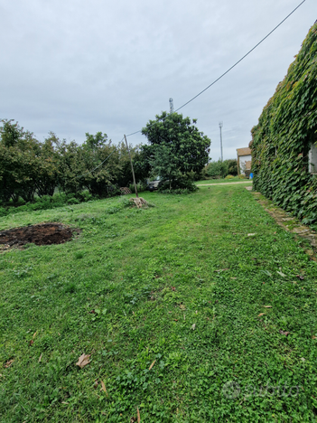 Piccolo casale arredato immerso nel verde