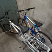 Bici mtb