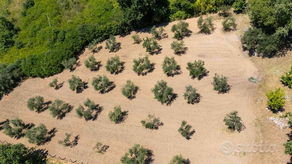 Terreno di 5330 m² a Salisano - Vista 3