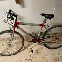 Mountain  bike TRUBBIANI revisionata.