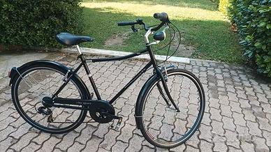 city bike Raleigh