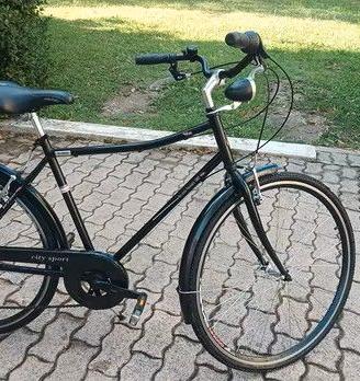city bike Raleigh