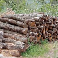 LEGNA DA ARDERE 