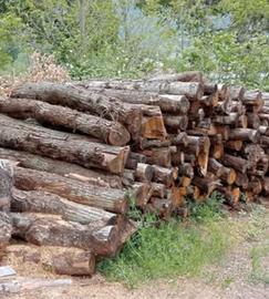 LEGNA DA ARDERE 