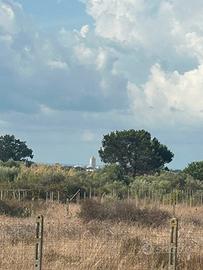 Terreno per antenne telefoniche