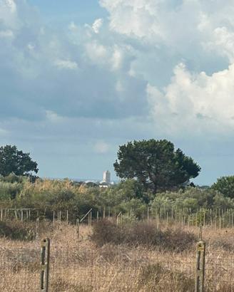 Terreno per antenne telefoniche