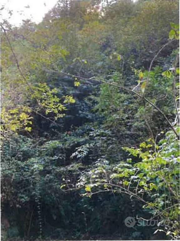 Immobile in asta di 5730 m² a Calcinate - Vista 2