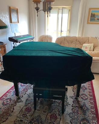 PIANOFORTE A CODA SCHILLER
