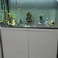 ACQUARIO 240lt + mobile
