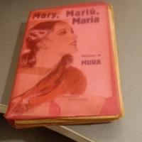Mary Mariù Maria romanzo Sonzogno 1930