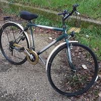 bici da uomo