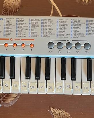Tastiera Casio con custodia