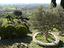 Immagine 22