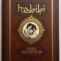 Fumetto-romanzo HABIBI di Craig Thompson