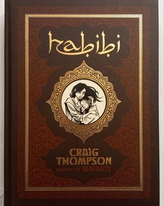 Fumetto-romanzo HABIBI di Craig Thompson