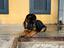 Immagine 6