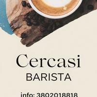Barista bar e caffetteria