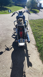 Honda Shadow VT 750 C4 perfetta