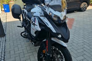 Benelli TRK502X 
