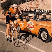 Autografo Eddy Merckx 1972 grande Foto Molteni