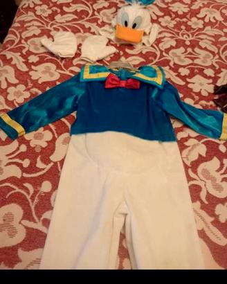 Vestito di Carnevale