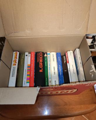 Lotto 14 Libri Narrativa Classica, Contemporanea