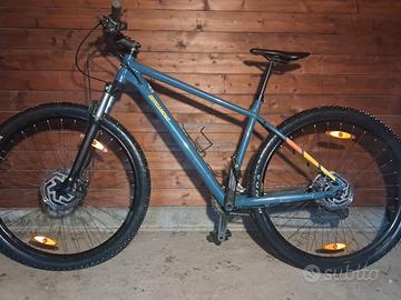 Bergamont Revox 6