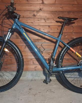Bergamont Revox 6