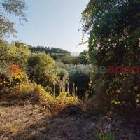 Terreno Agricolo Anagni [Cod. rif 3093555VCG]